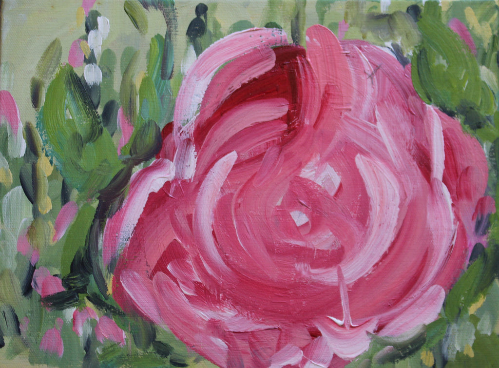 Pink Camellia