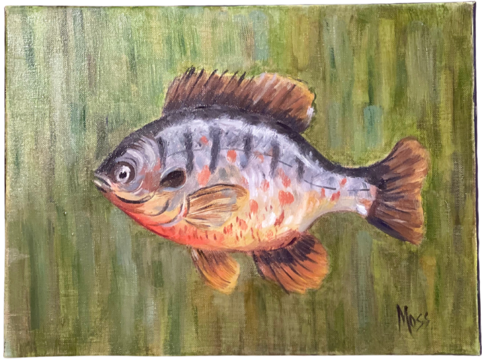 Blue Gill