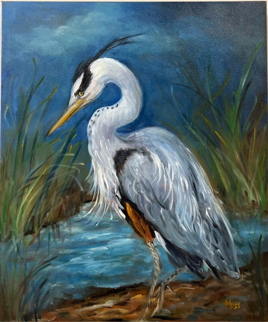 South Carolina Heron