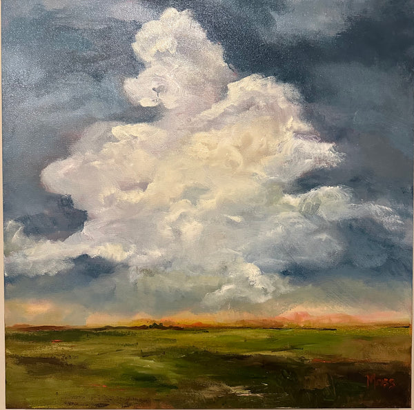 Clouds