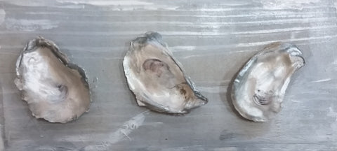 Panhandle Pearls 2 painting Amy Christenberry - Christenberry Collection