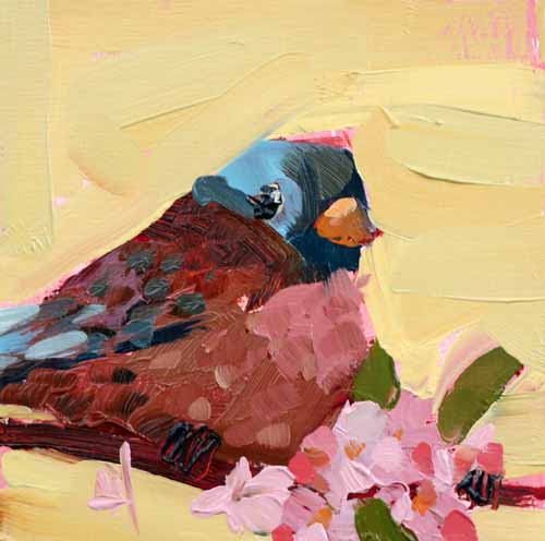 Gray Crowned Rosy Finch painting Angela Moulton - Christenberry Collection