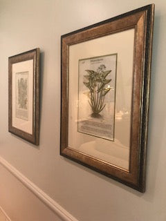 Botanicals painting Meredith Christenberry - Christenberry Collection