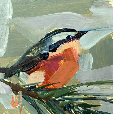 Nuthatch No. 531 painting Angela Moulton - Christenberry Collection