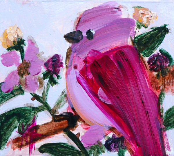 Rosefinch and Raspberries