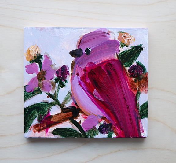 Rosefinch and Raspberries